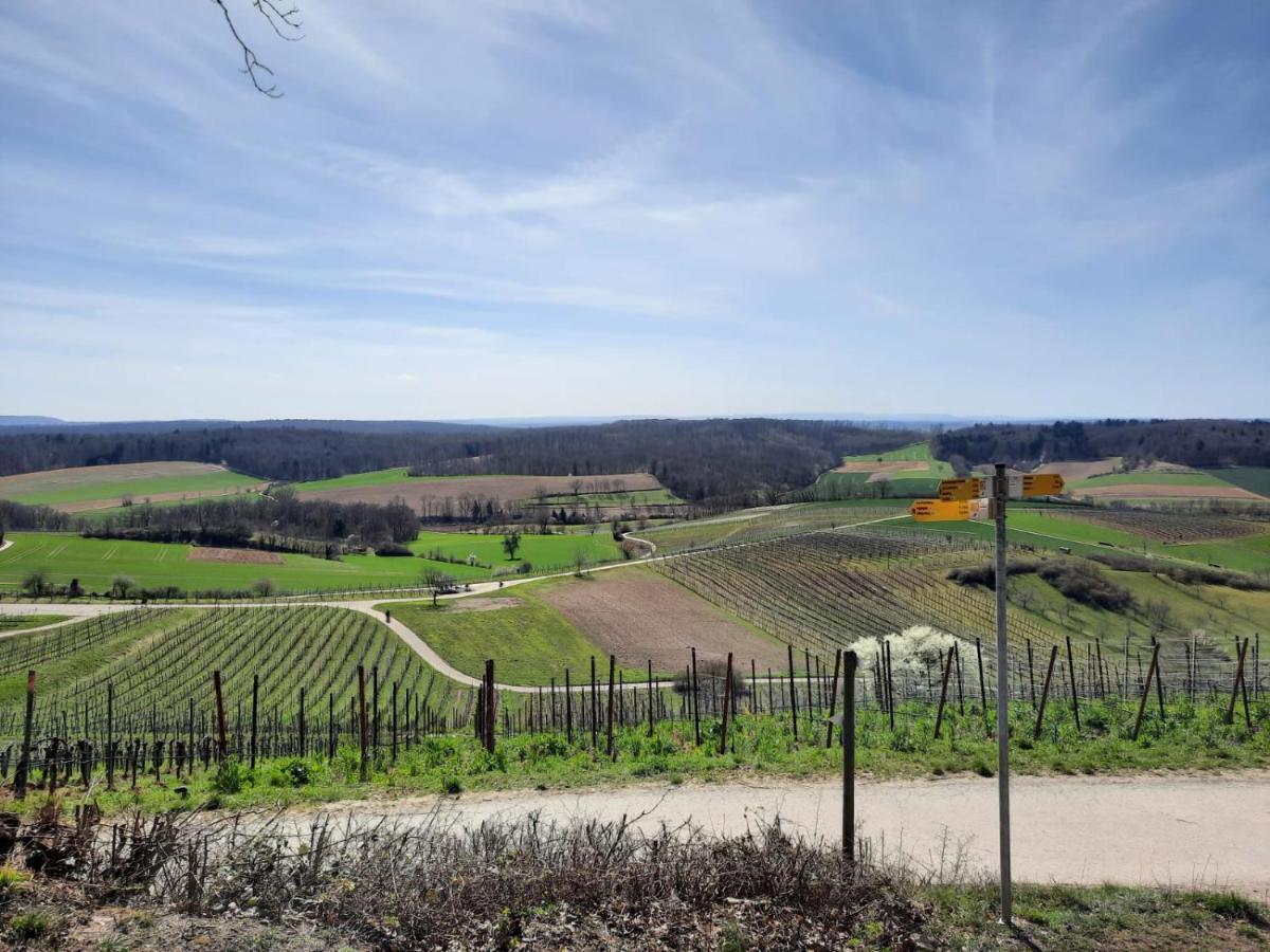 Pflaumers Ferienwohnung Eppingen Buitenkant foto