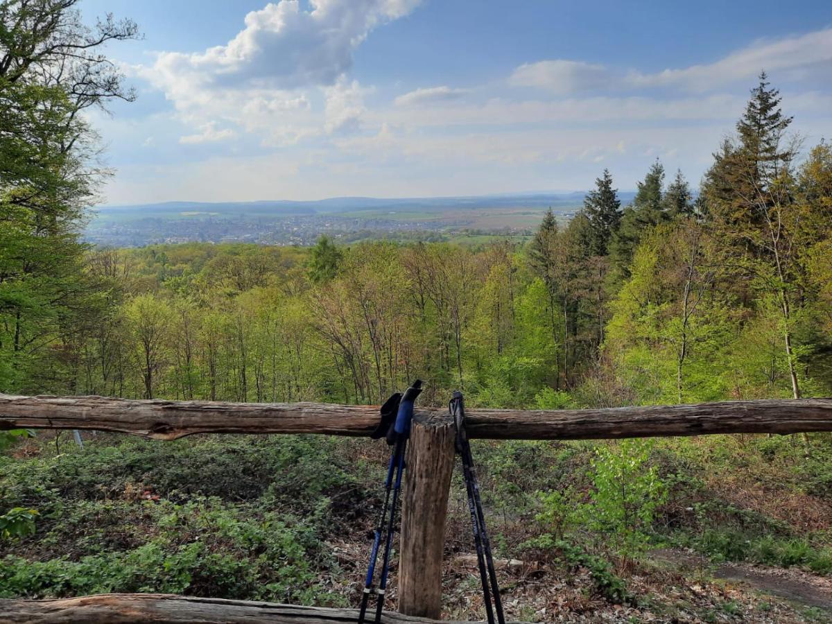 Pflaumers Ferienwohnung Eppingen Buitenkant foto