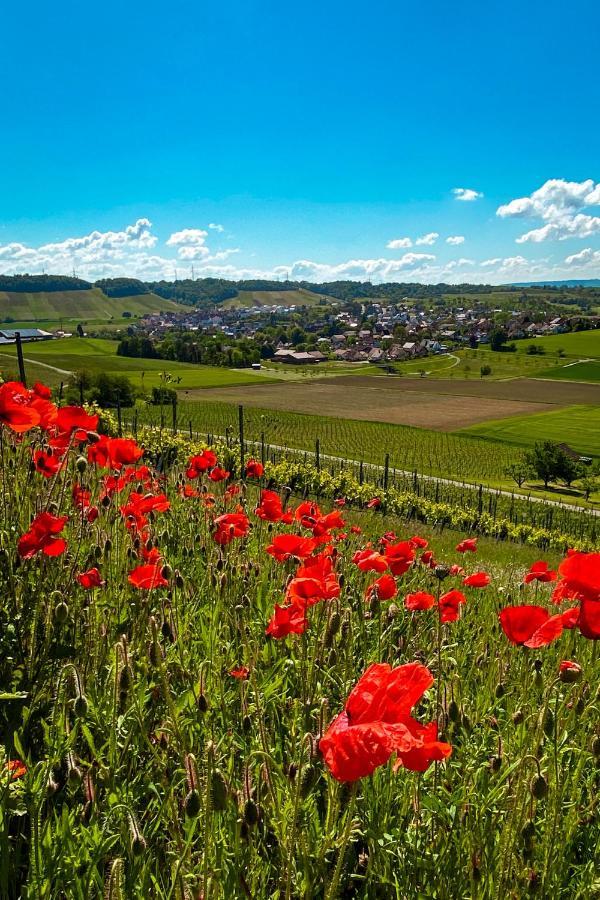 Pflaumers Ferienwohnung Eppingen Buitenkant foto